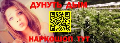 крисы Краснодар