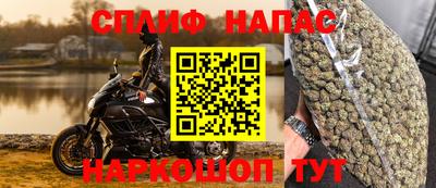 крисы Краснодар