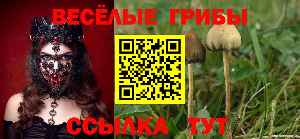 Вичуга  Галлюциногенные грибы прущие грибы  Вход с VPN 