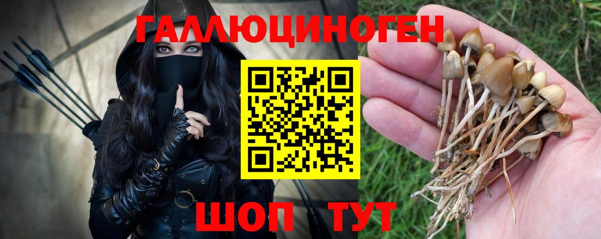 Псилоцибиновые грибы прущие грибы Вичуга